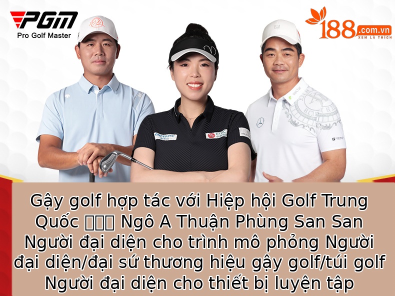 Bộ gậy sắt golf PGM rèn mềm độ phục hồi cao mặt đánh rỗng thiết kế lưng thấp — MTG036-(Bộ cột sắt) Lớp S, MTG036-(nhóm sắt) R cấp, MTG036-(Bộ cột sắt) SR cấp, MTG036-(Bộ cột sắt) Thép cấp chi tiết 1