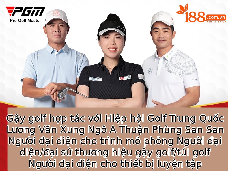 Gậy sắt golf số 7 PGM RIO thép không gỉ, thân carbon siêu nhẹ, đầu gậy rộng dễ đánh — TIG040 (lớp R) nam tay phải thanh Carbon số 7 sắt, TIG040 (Cấp S) nam tay phải thanh Carbon số 7 sắt, TIG040 (Thanh thép) nam tay phải số 7 sắt chi tiết 1