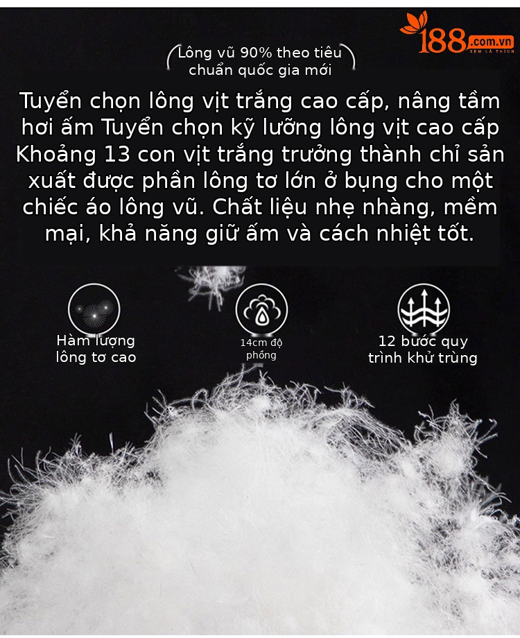 Quần lông vũ nữ mặc ngoài trời cạp cao dày dặn cỡ lớn, quần cotton nhẹ giữ ấm mùa đông — Màu đen chi tiết 3