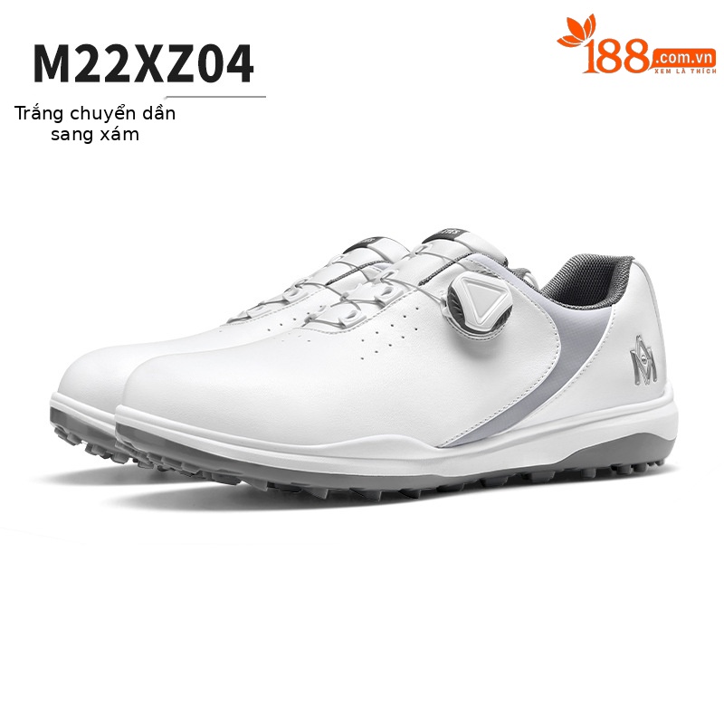M22XZ04-Xám dần trắng