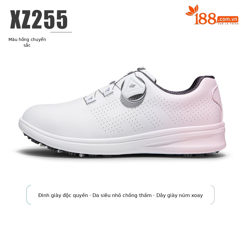 XZ255-Bột Gradient