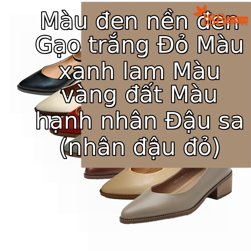 Giày Mary Jane nữ da cừu mũi nhọn gót thô miệng nông — Màu đen chi tiết 12