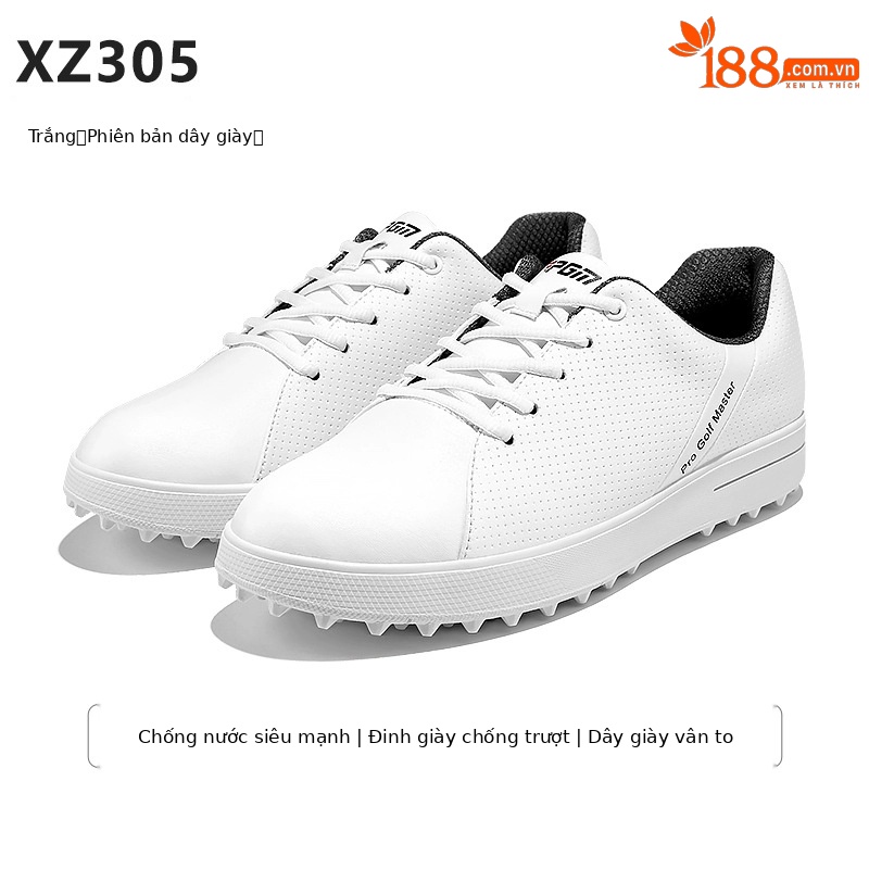 XZ305 (Dây giày thông thường)