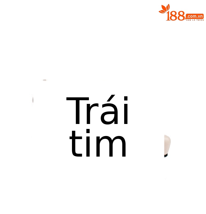 Giày cao gót nữ mũi nhọn đế chống thấm nước, gót 13 cm, da thật — Màu đen chi tiết 12