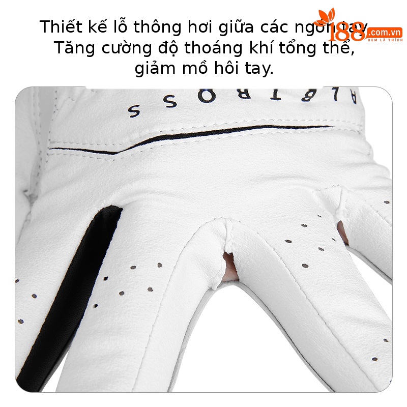Găng tay golf nam da cừu nhập khẩu khâu đơn tay phải — 22