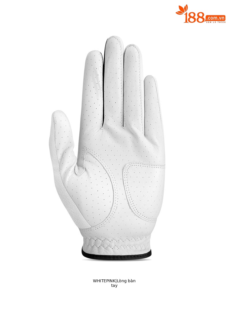 Găng tay golf nam da cừu nhập khẩu khâu đơn tay phải — 22 chi tiết 14