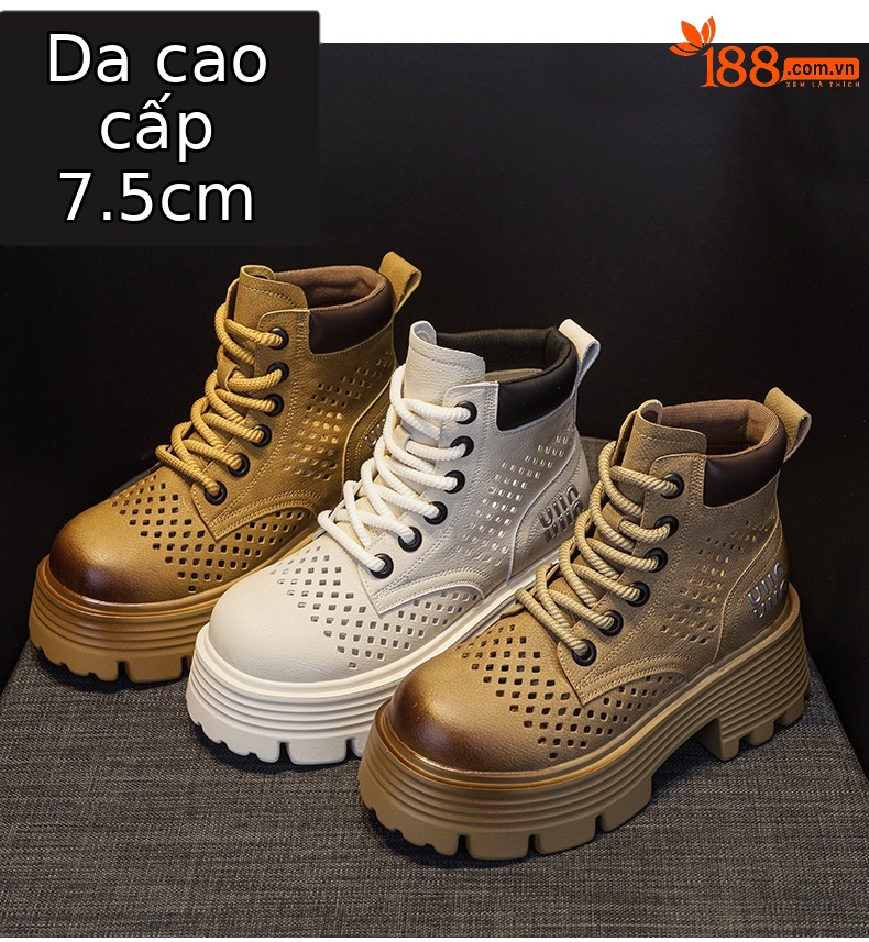 Mẫu lưới màu be M2565-1