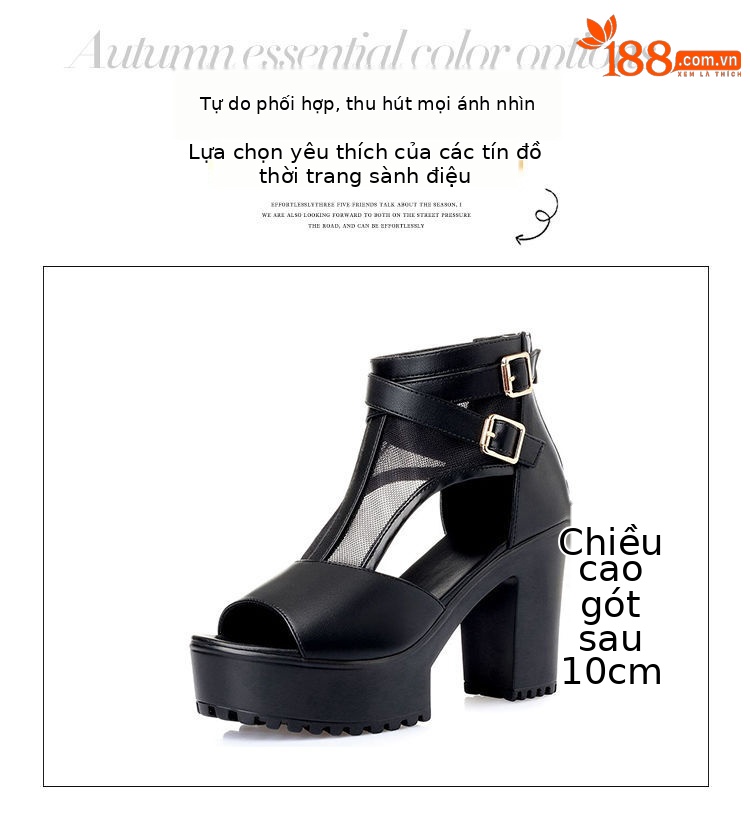 Sandal nữ da thật lưới rỗng mũi nhọn gót cao đế dày kiểu La Mã — Màu đen chi tiết 3