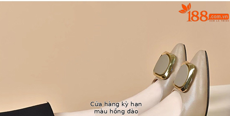 Giày cao gót nữ da thật mũi nhọn miệng nông gót dày màu đen — Màu đen chi tiết 25