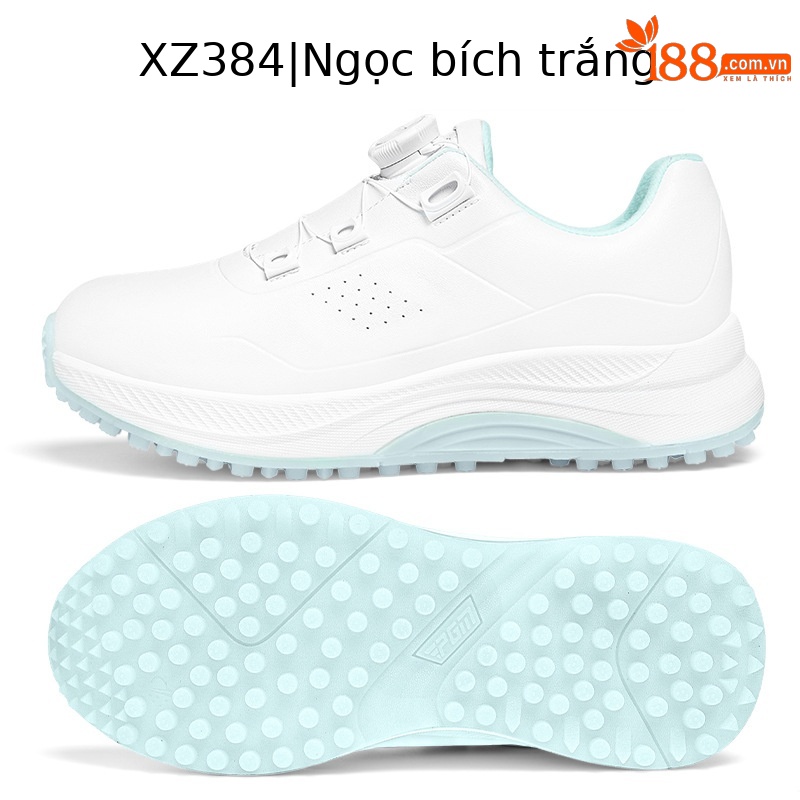 XZ384 màu trắng ngọc lục bảo