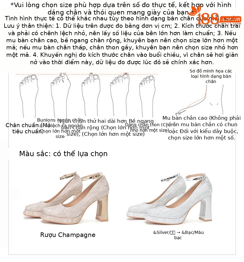 Giày cao gót nữ đế xuồng mũi vuông kiểu Mary Jane, gót dày — Rượu sâm banh chi tiết 1