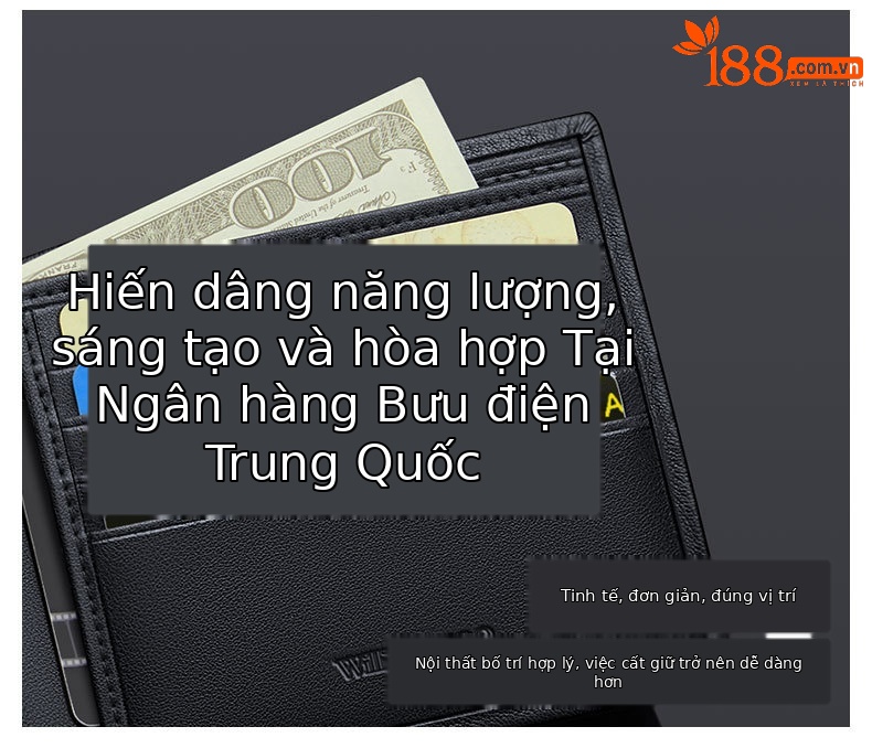 Ví da bò lớp đầu cao cấp Emperor Paul cho nam – kiểu dáng công sở thời trang chi tiết 12