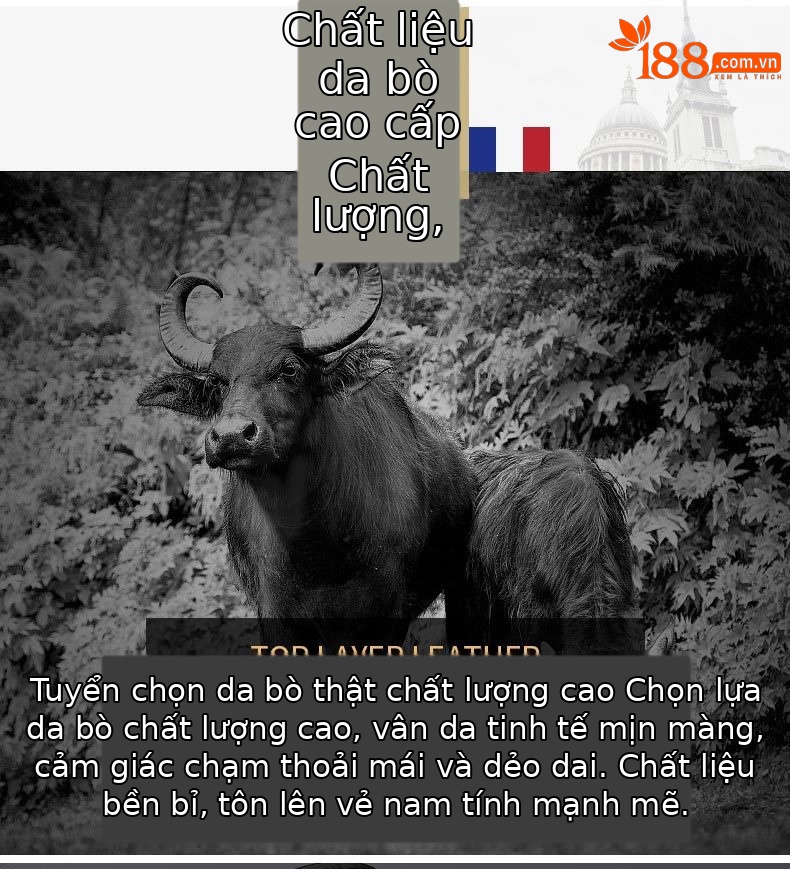 Thắt lưng nam da bò cao cấp Emperor Paul họa tiết cá sấu công sở thời trang — 120cm, 130cm, 110cm, 125cm chi tiết 5