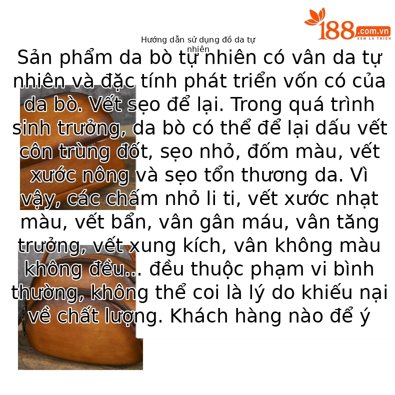 Túi đeo chéo nữ da bò cao cấp phong cách retro Maillard, kích thước 23×18×9.5 cm — Vàng cổ điển chi tiết 13