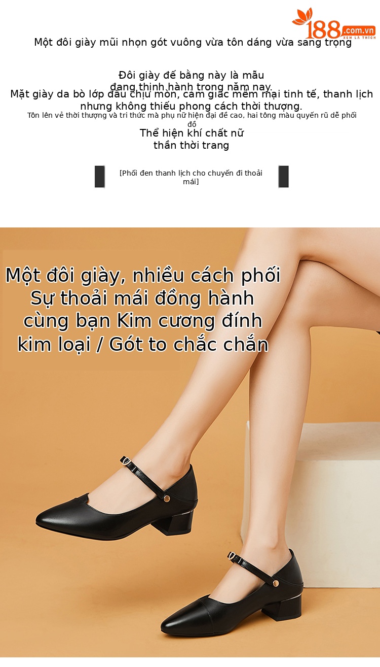 Giày da nữ mũi nhọn miệng nông gót thấp đế dày — Màu đen chi tiết 2