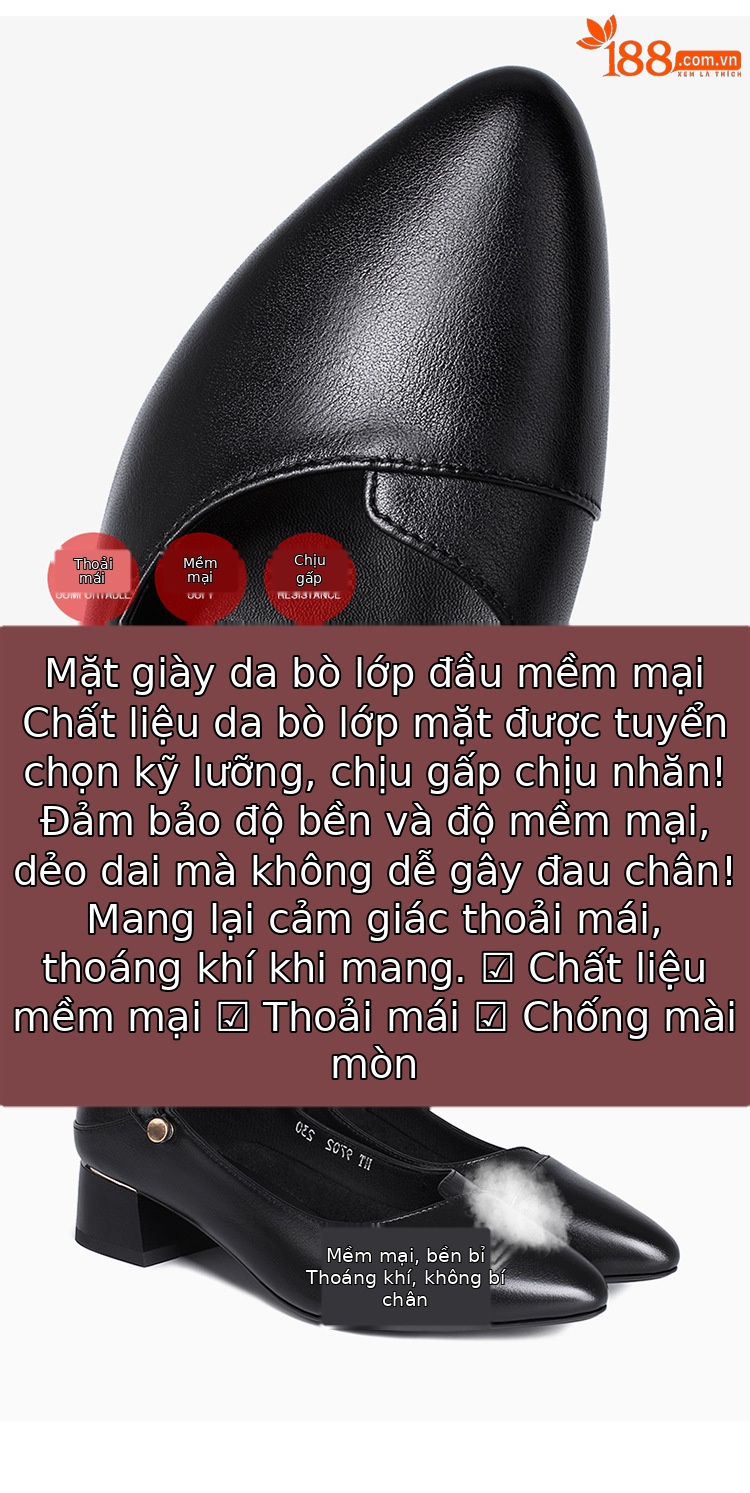 Giày da nữ mũi nhọn miệng nông gót thấp đế dày — Màu đen chi tiết 15