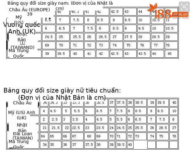 Giày cao gót Mary Jane da cừu quai chữ T gót thô miệng nông — Màu đen chi tiết 28