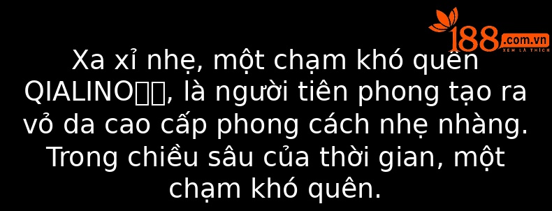 Ốp lưng da thật iPhone 12 Pro Max nắp lật mini có ngăn đựng thẻ — Khóa từ tính iPhone 12 mini 5,4 inch màu đen, Khóa từ tính iPhone 12 mini 5,4 inch màu nâu đậm, IPhone12 Pro Max 6,7 inch khóa từ tính doanh nhân màu nâu nhạt chi tiết 16