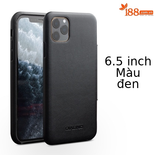 IPhone 11 Pro Max 6,5 inch màu đen chính thức