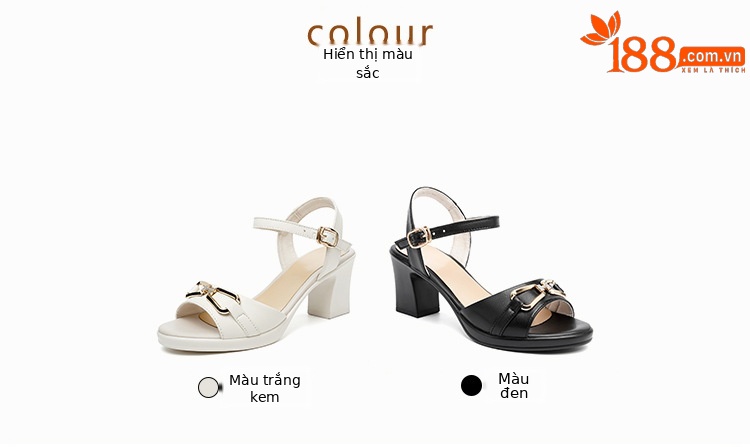 Giày cao gót nữ đế thô da thật cỡ lớn thoải mái tôn dáng — Màu đen chi tiết 5