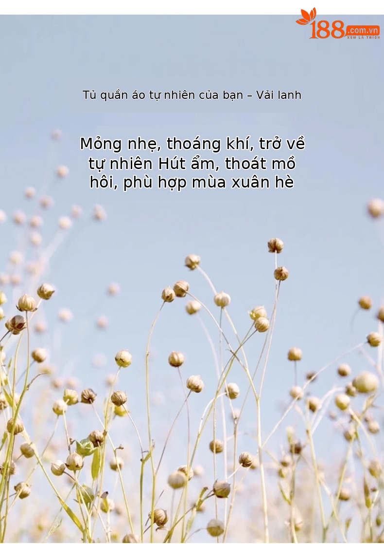 Áo hai dây nữ cạp trễ vải lanh rộng rãi co giãn, kiểu dáng ngắn mùa hè — Màu trắng chi tiết 6