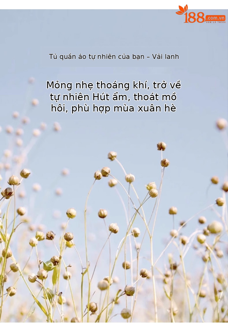 Đầm maxi nữ thắt eo cổ chữ V vải lanh kiểu Pháp — Màu đen chi tiết 7