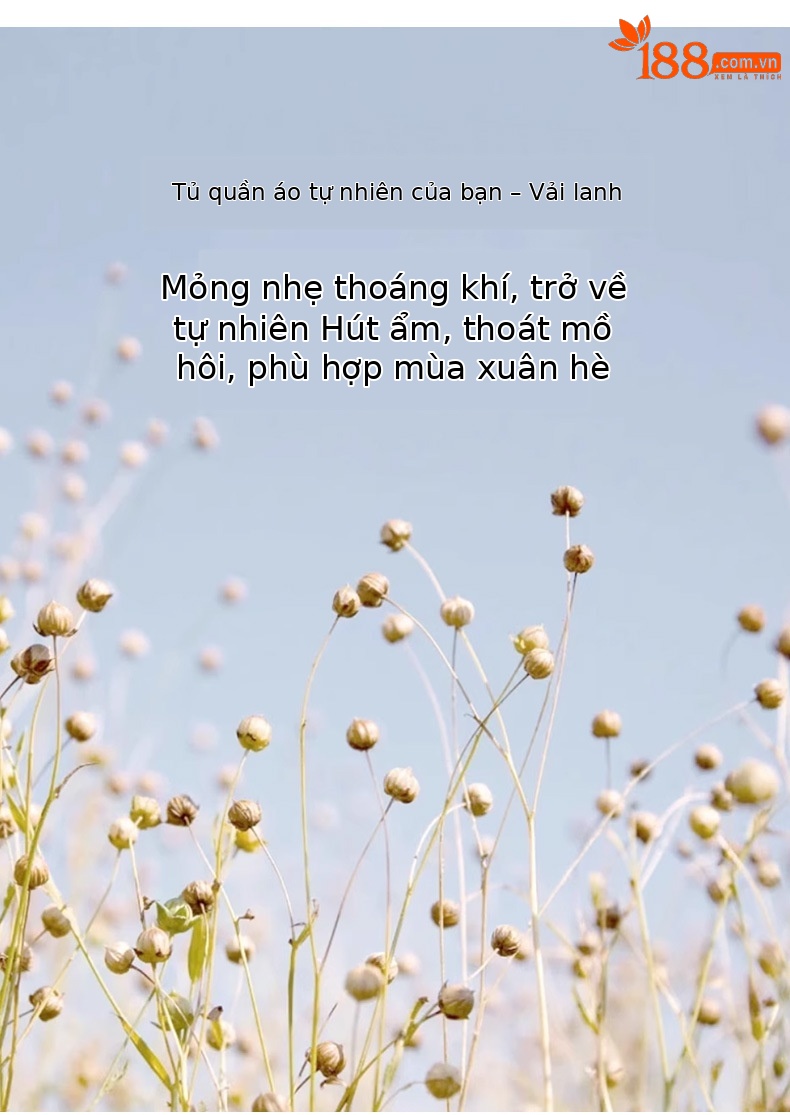 Áo ba lỗ cổ tròn ren Xinge vải lanh rộng rãi che khuyết điểm mùa hè — Màu trắng chi tiết 6
