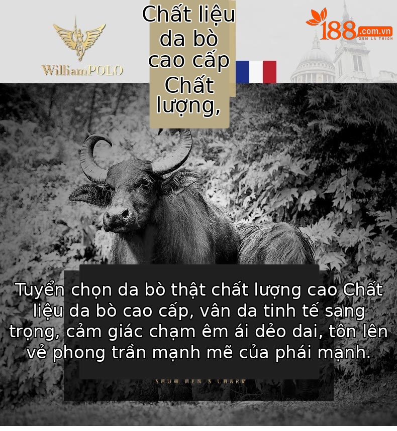 Thắt lưng nam da thật khóa tự động Paul cao cấp phong cách công sở — 120cm, 130cm, 110cm, 125cm chi tiết 3
