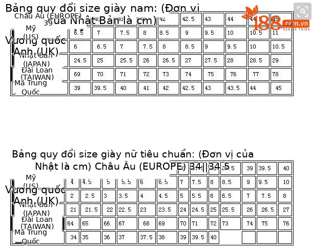 Giày loafer nữ đế xuồng họa tiết báo khóa kim loại tăng chiều cao — đen, nâu đen chi tiết 25