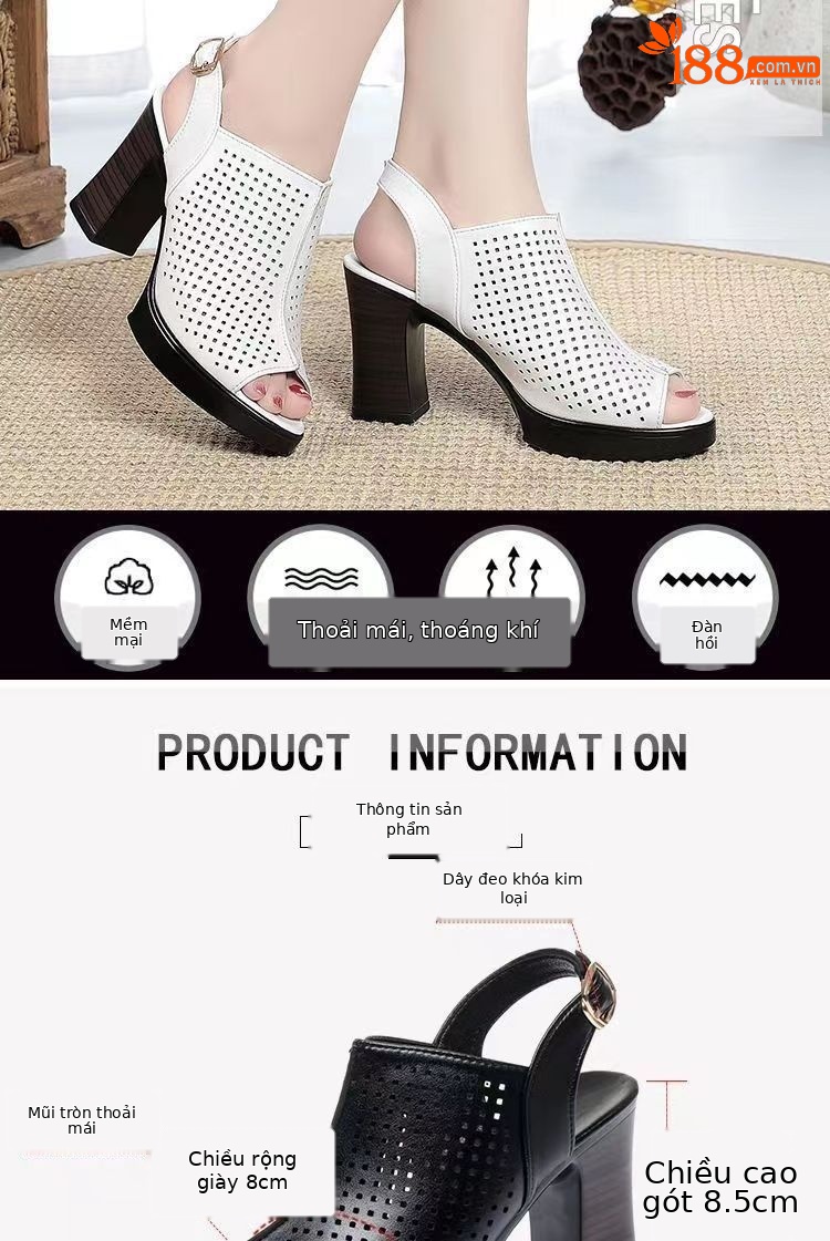 Giày sandal cao gót nữ hở mũi kiểu La Mã da thật thoáng khí — đen chi tiết 2