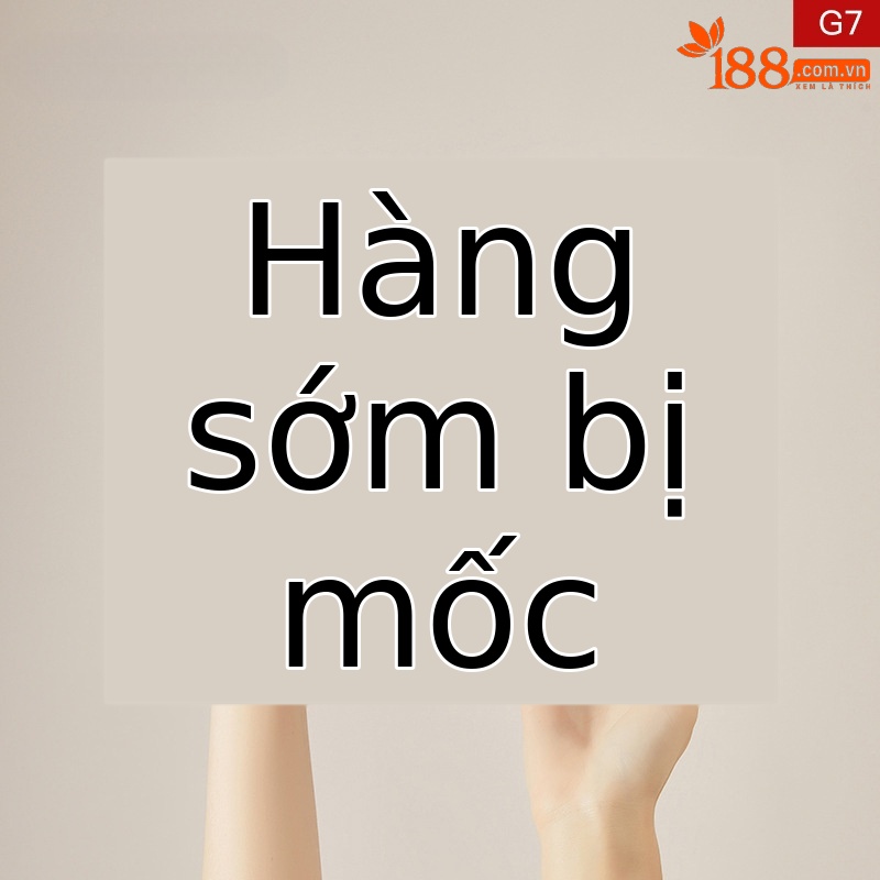 4625303276 gót đen cao 7.0cm