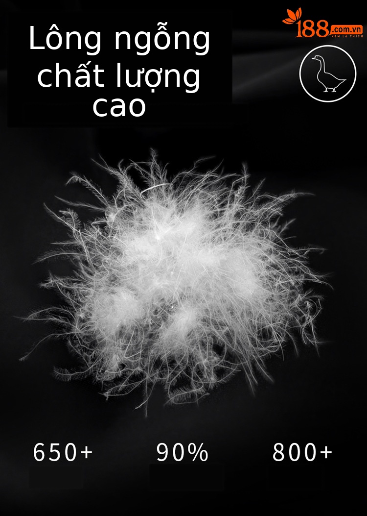 Áo khoác phao nam trung niên cao cấp lông ngỗng có thể tháo rời, ấm áp dày dặn mùa thu đông — màu xanh đậm chi tiết 4