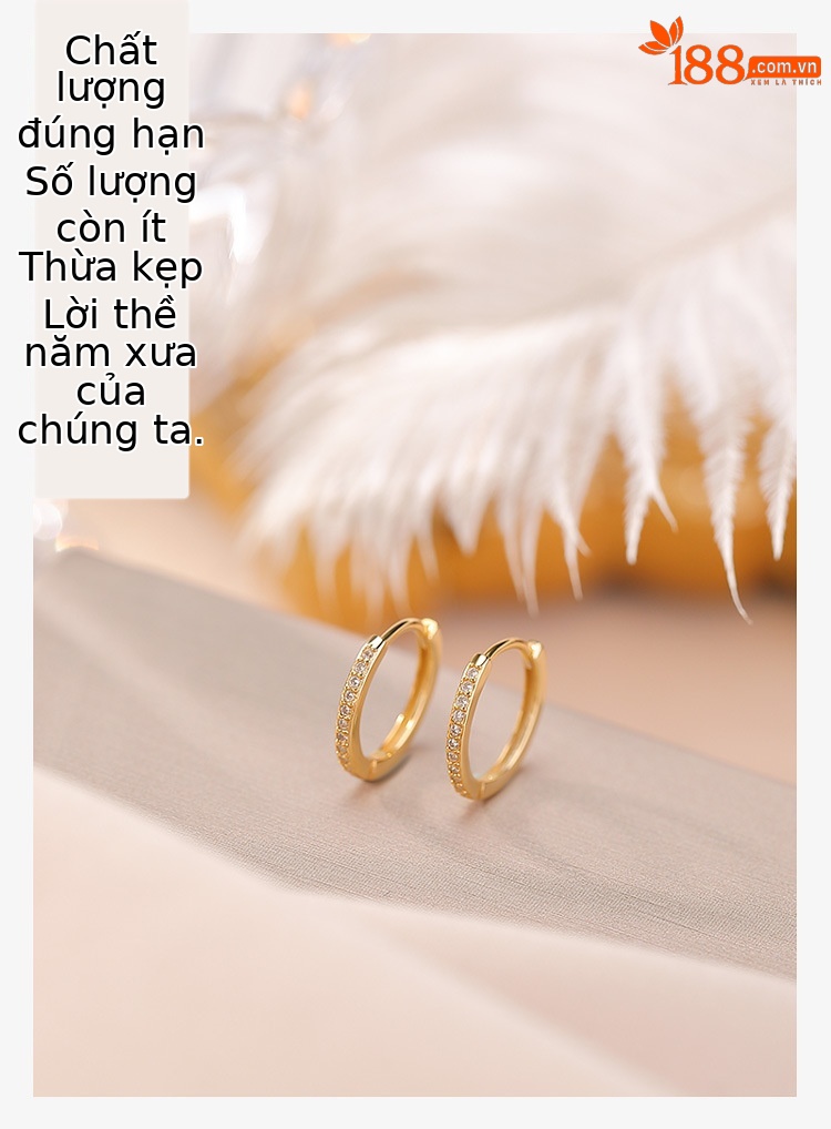 Bông tai vòng tròn bạc S925 mạ vàng thời trang tinh tế — Mẫu bạc chi tiết 2