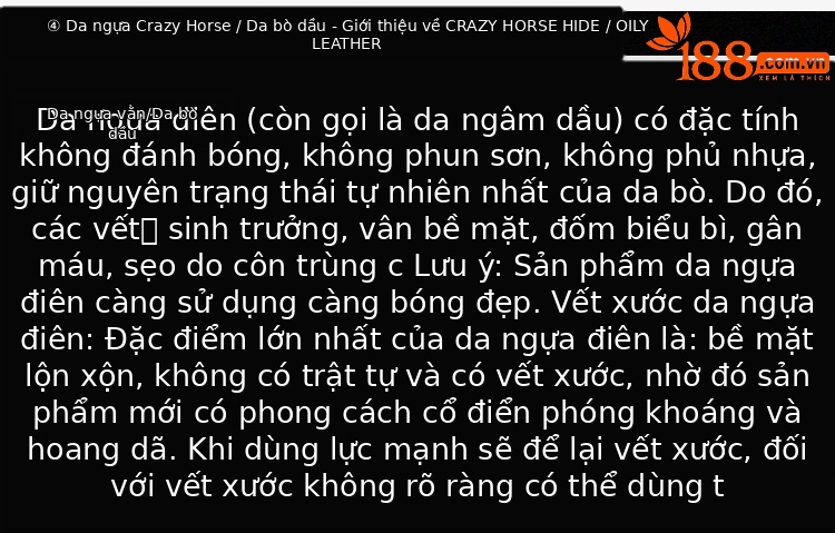 Túi đeo chéo nữ da bò thật cao cấp, sức chứa lớn, phong cách thời trang đi lại — màu nâu, màu xanh lá cây, màu xám, đen chi tiết 9