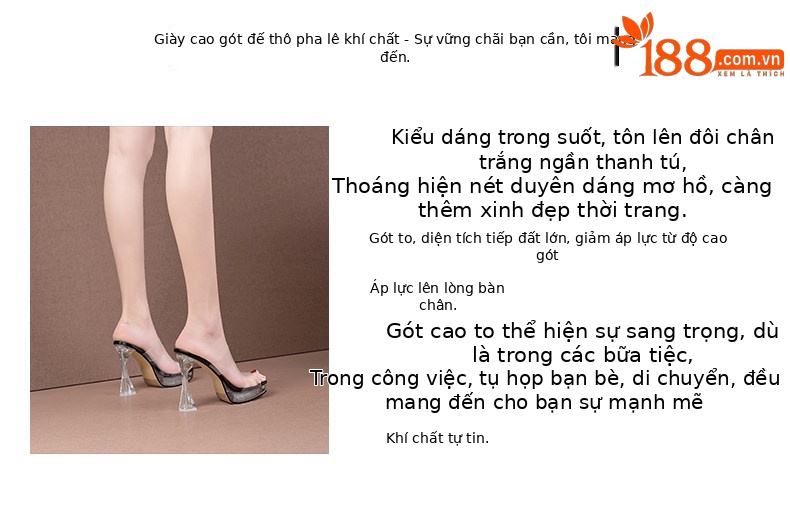 Sandal cao gót nữ hở mũi gót vuông trong suốt phong cách Pháp — Đen, Mơ chi tiết 2