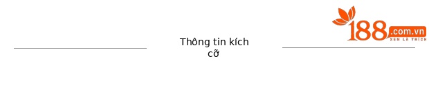 Sandal nữ đế xuồng cao gót hở mũi họa tiết da báo — Đen 10cm, Đen 15cm chi tiết 19