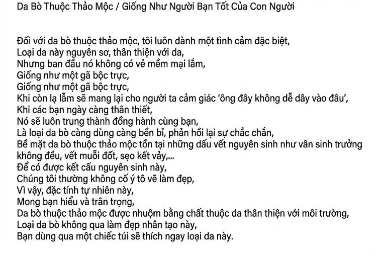Túi Đeo Chéo Nữ Da Bò Dáng Hộp Chữ Nhật Phong Cách Retro Màu Nâu, Đen chi tiết 14