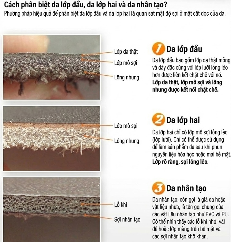 Túi Đeo Chéo Nữ Da Bò, Túi Đeo Vai Nữ Phong Cách Hàn Quốc Màu Nâu chi tiết 2