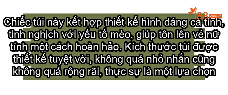 Túi Đeo Chéo Nữ Họa Tiết Thời Trang Cao Cấp Dây Xích Màu Nâu chi tiết 5