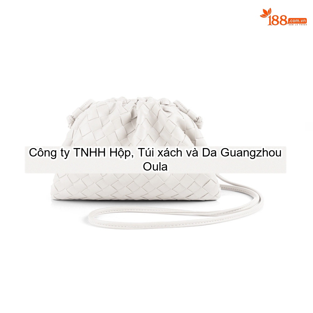 Túi Đeo Vai/Túi Xách Tay Nữ Dệt Vân Mây Kiểu Bánh Bao Thời Trang Màu Xám chi tiết 20