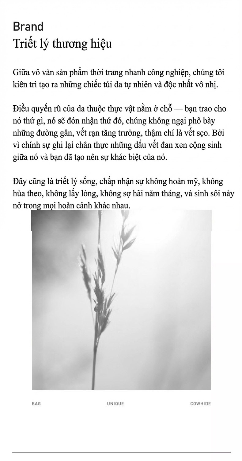 Túi Hobo Nữ Da Thuộc Thực Vật Đeo Vai Phong Cách Mới Màu Đen chi tiết 17