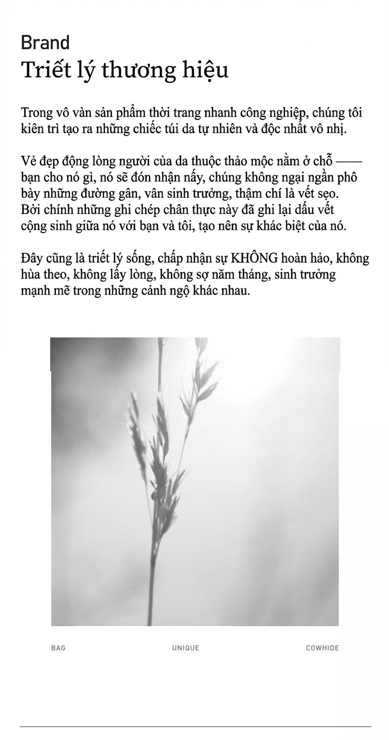 Túi Hobo Nữ Da Thuộc Thực Vật Theo Dấu Vết, Túi Đeo Vai Đơn Màu Đen chi tiết 17