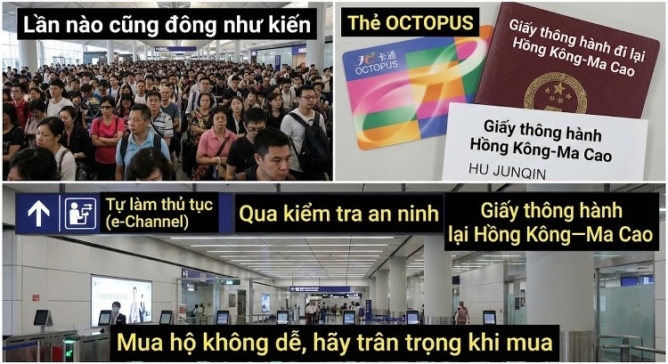 Túi Xách Nữ Đeo Vai Thời Trang Da Bóng 2023 Màu Nâu, Đỏ chi tiết 2
