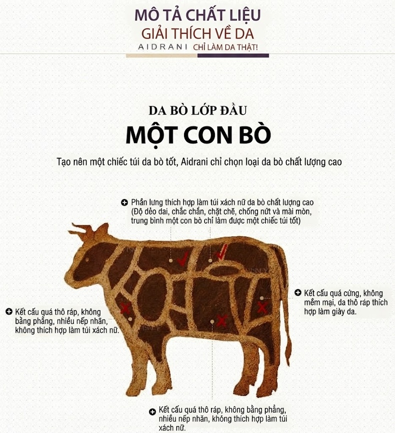 Túi Xách Tay Nữ Da Bò Đeo Vai, Đeo Chéo Thời Trang Màu Đen, Đỏ chi tiết 13
