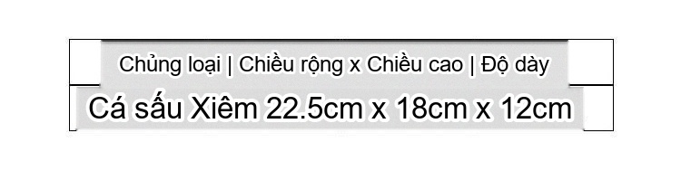 Túi Xách Tay Nữ Da Cá Sấu Thật Đeo Vai Đeo Chéo Thời Trang Màu Đen, Cam, Hồng, Đỏ... chi tiết 1