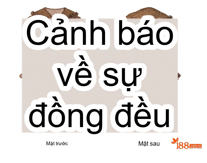 Váy Dài Tay Nữ Xòe Họa Tiết Da Báo Bèo Nhún Thiết Kế Bất Đối Xứng Chất Liệu Voan chi tiết 6