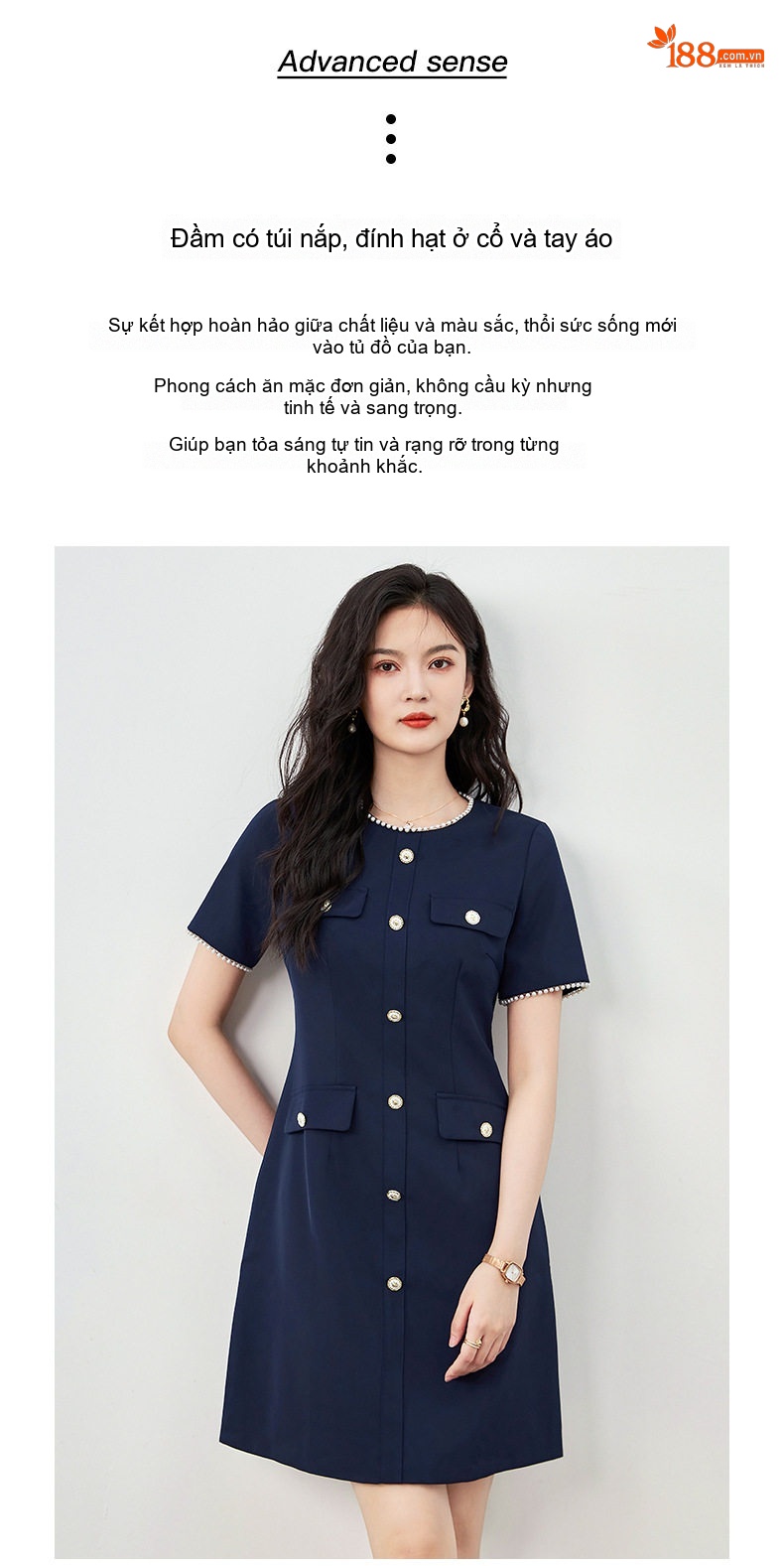 Váy liền thân Nữ Tiểu Thư Cổ Điển Tay Ngắn dáng chữ A Chiết Eo Màu Xanh Navy, Be chi tiết 2